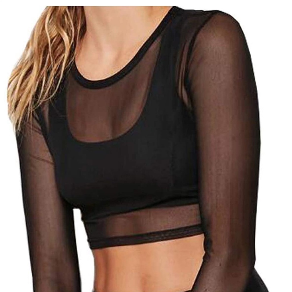 Sheer Long Sleeve Crop Top